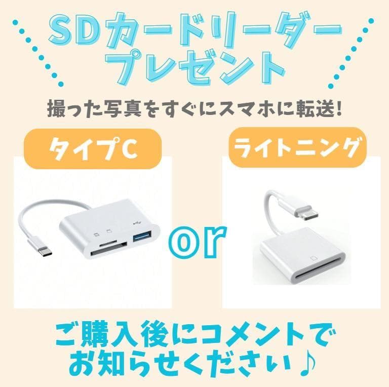 【美品】Nikon D3000　スマホ転送　手振れ補正　安心のレンズフード付