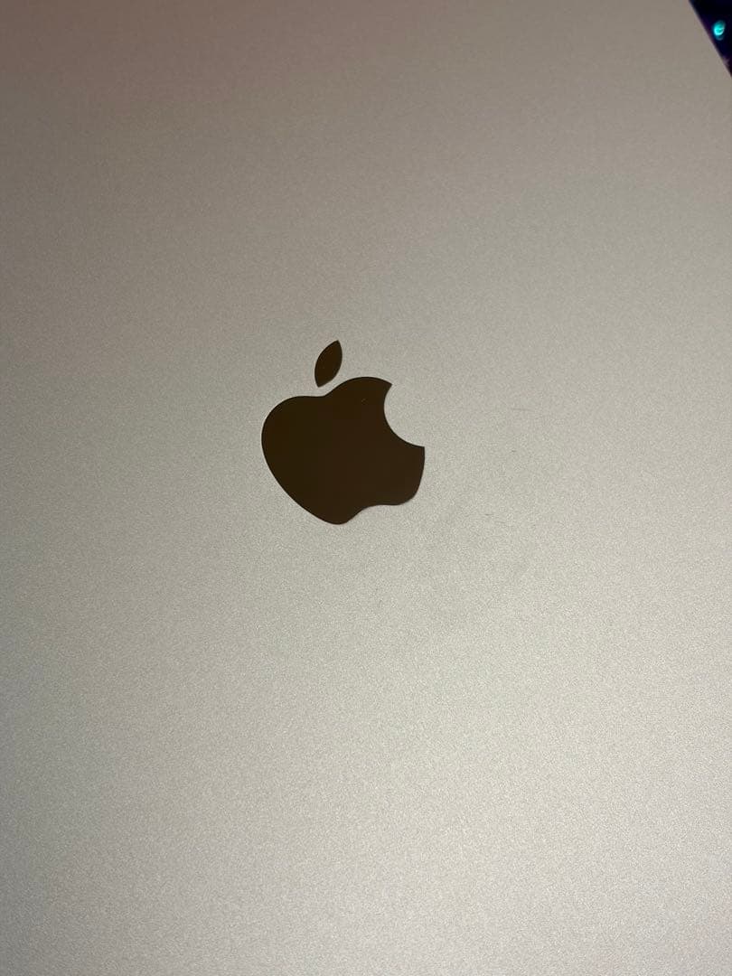 iPad Pro M4 13インチCellular 2TB applecare+