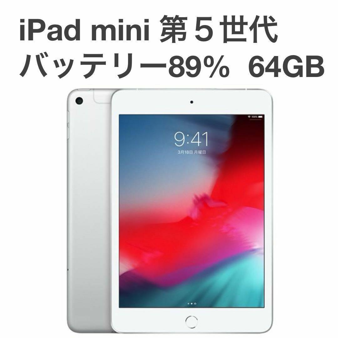 【良品】iPad mini 第5世代 cellular SIMフリーモデル㉗ Apple iPad mini 7.9インチ 第5世代 Wi-Fi+Cellular 256GB 2019年春