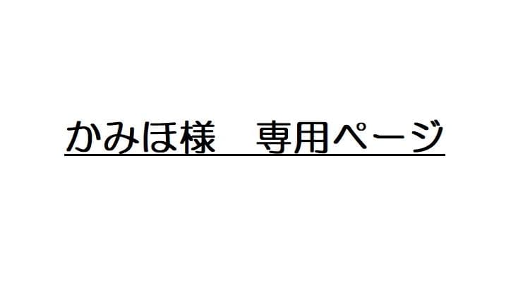 かみほページ 91axkc9uwiL.jpg