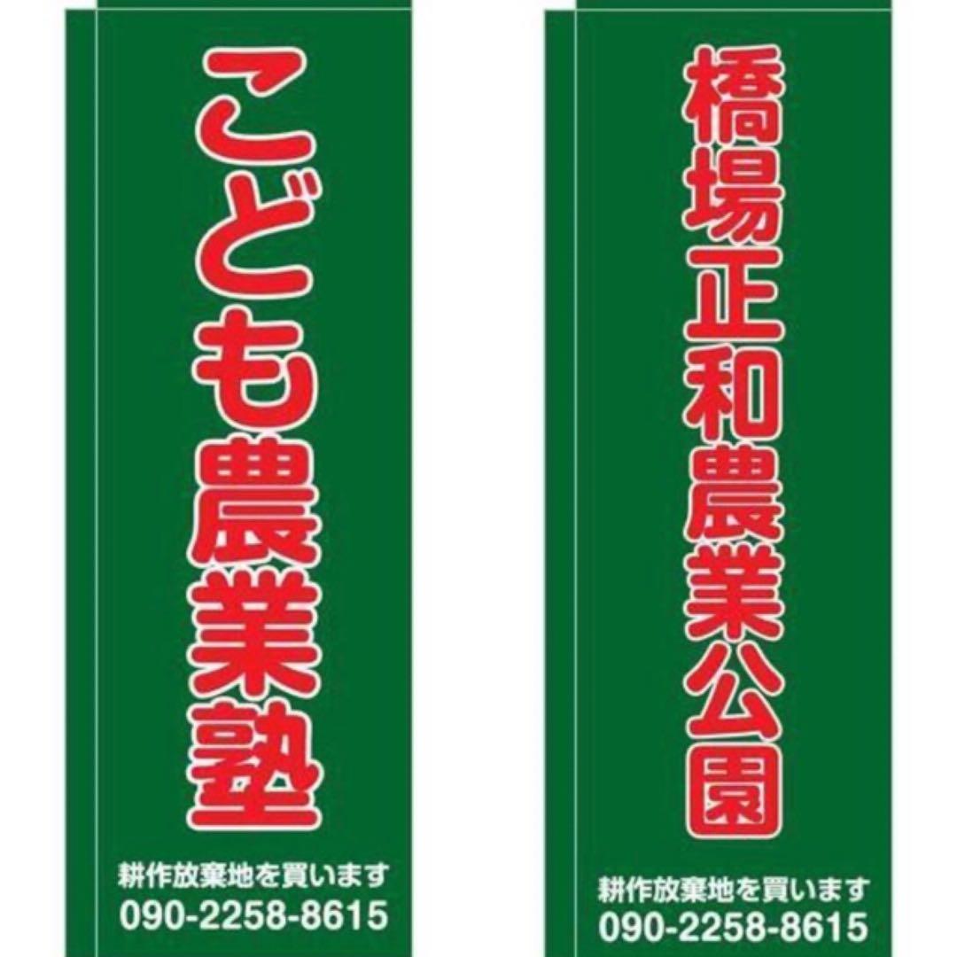 花乙女コレクション【桶田洋明　夕刻】購入金額より60％お値引き！！