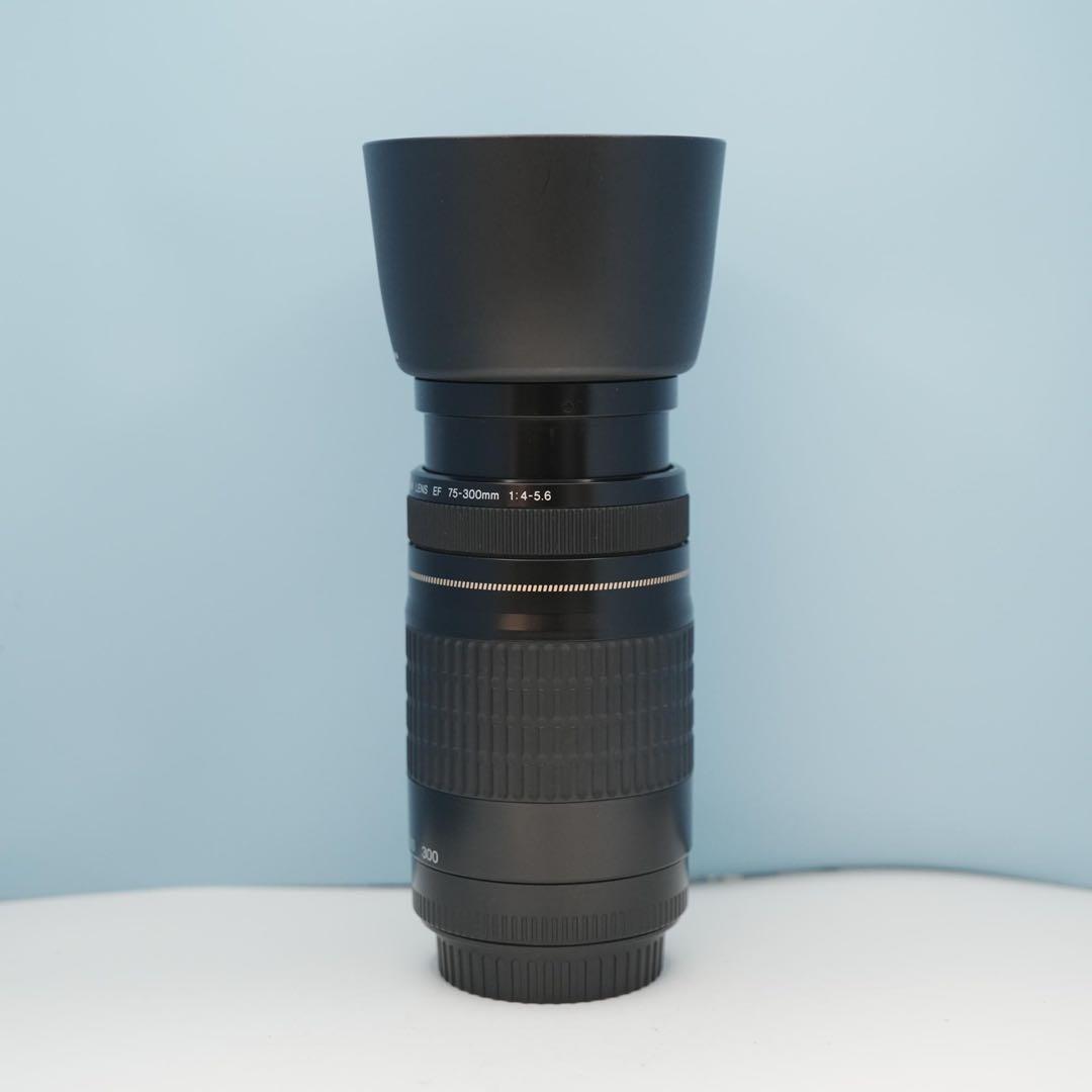 Canon純正75-300mm 望遠レンズ a4570