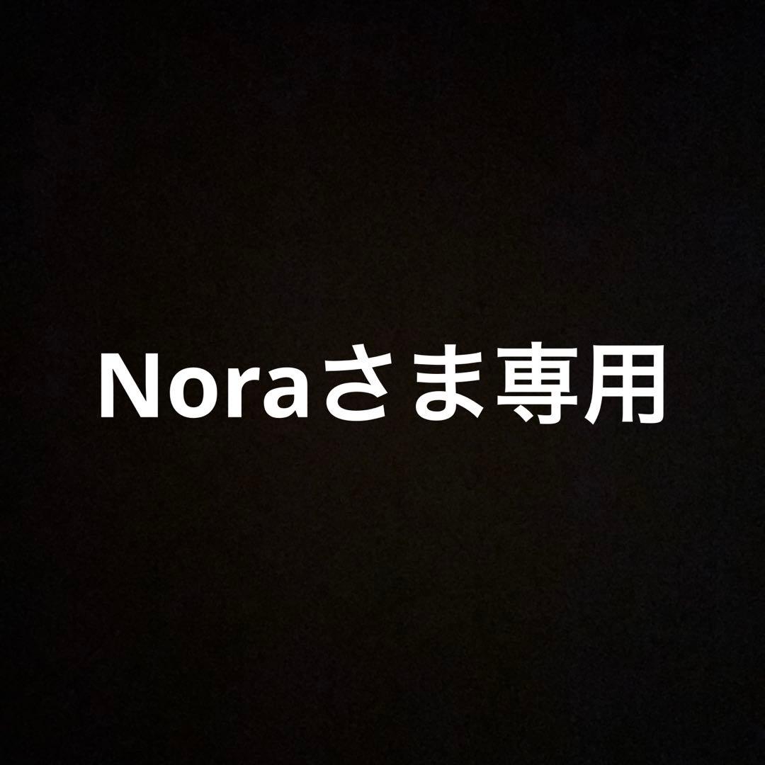 Noraさま専用　BOSE QuietComfort Ultra Earbuds Amazon.co.jp: Bose QuietComfort Ultra Earbuds ノイズキャンセリング