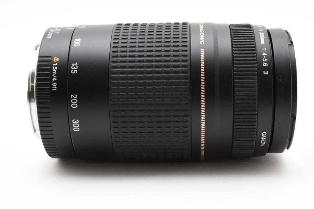 美品 Canon EF 75-300mm F4-5.6 II USM AA337