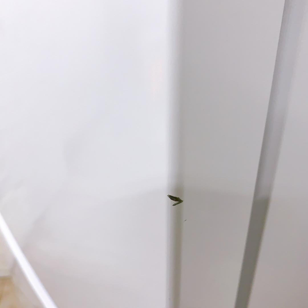 MKT0123101 ハイアール 121L 冷蔵庫 一人暮らし 小型