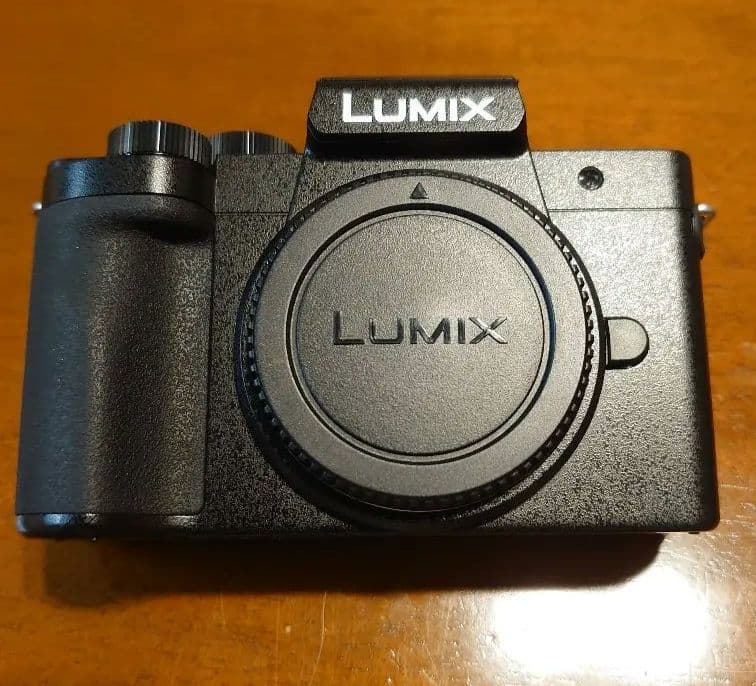 Panasonic　LUMIX DC-G100D ボディ Etoren.com | Panasonic Lumix DC-G100D Body Only
