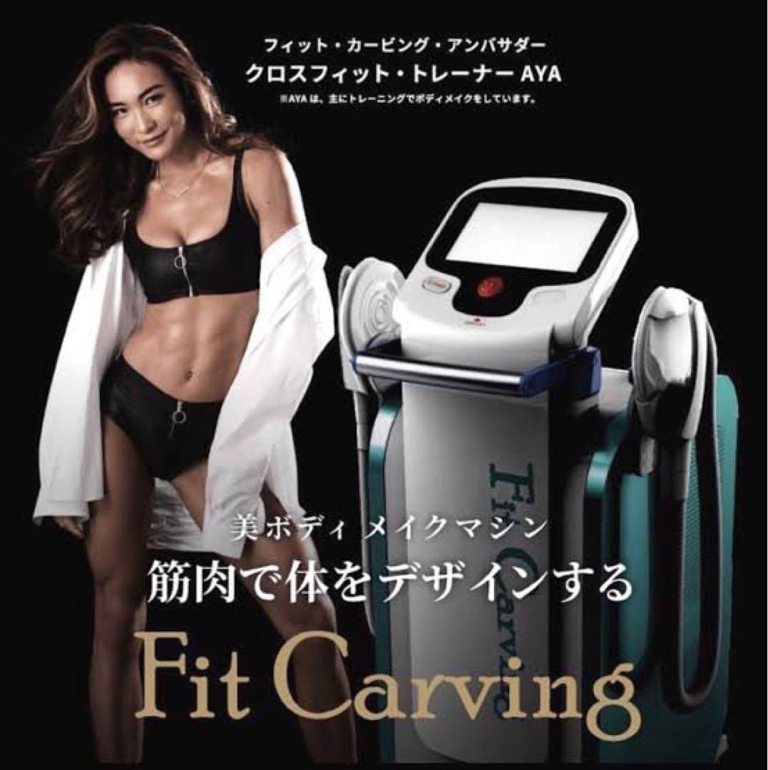 rスタイル 専用　Fit Carving【フィットカービング】 Fit Carving (フィットカービング)-美容機器の卸/仕入れならビーウェイブ