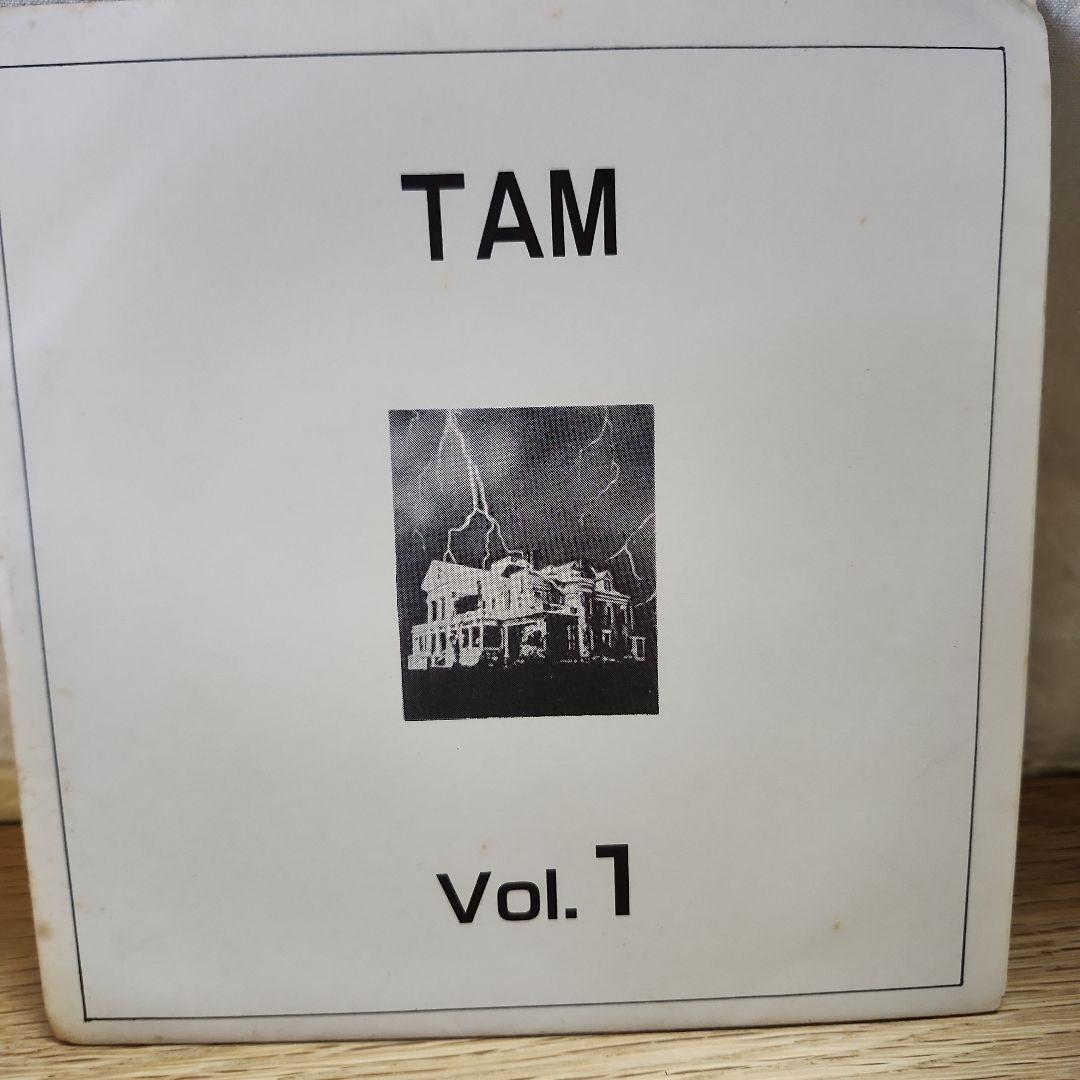 ガ*ラ様 TAM Vol.1 赤盤ソノシート 黒盤EPレコード ゴジラ破壊のテー
