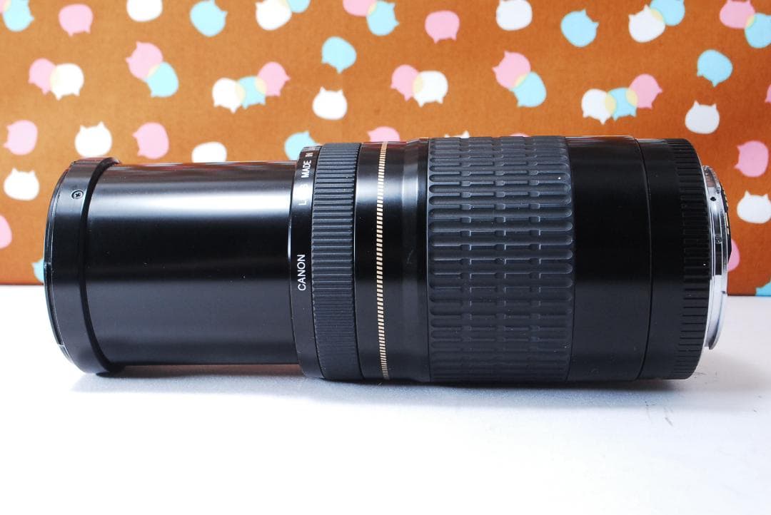 ✨大人気望遠レンズ✨Canon EF 75-300mm F4-5.6