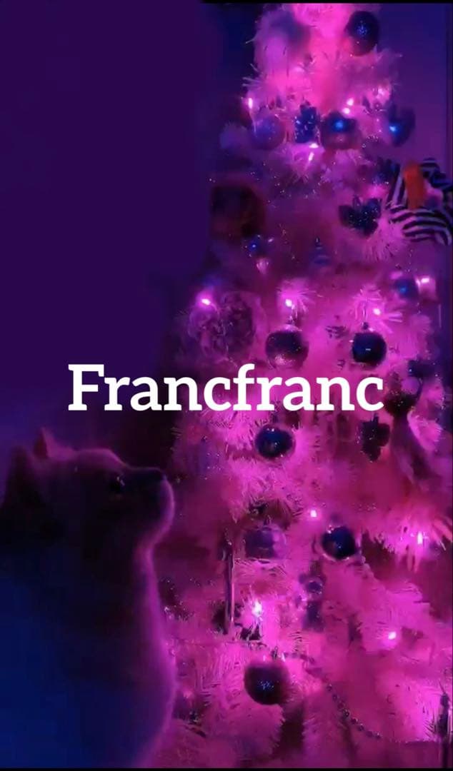 Francfranc ✨️おまけ2個付ファー クリスマスツリーセット　150cm Francfranc ✨️おまけ2個付ファー クリスマスツリーセット 150cm
