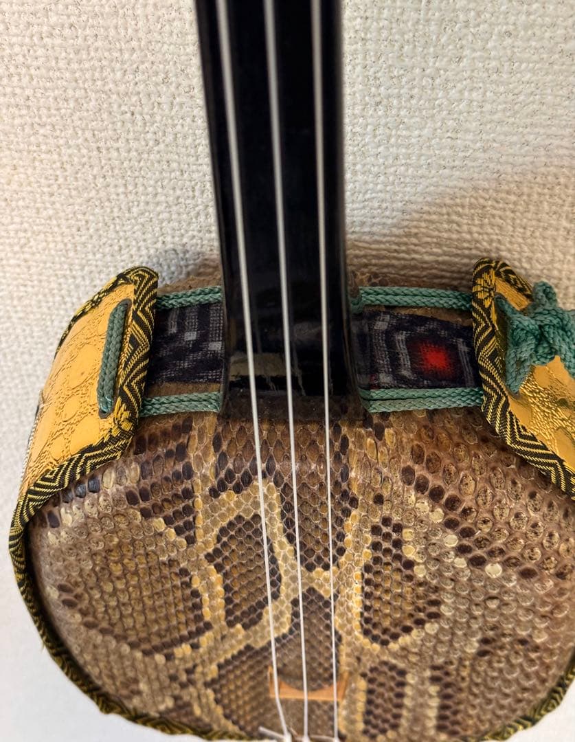沖縄三線 蛇皮 本皮 スマートカラクイ