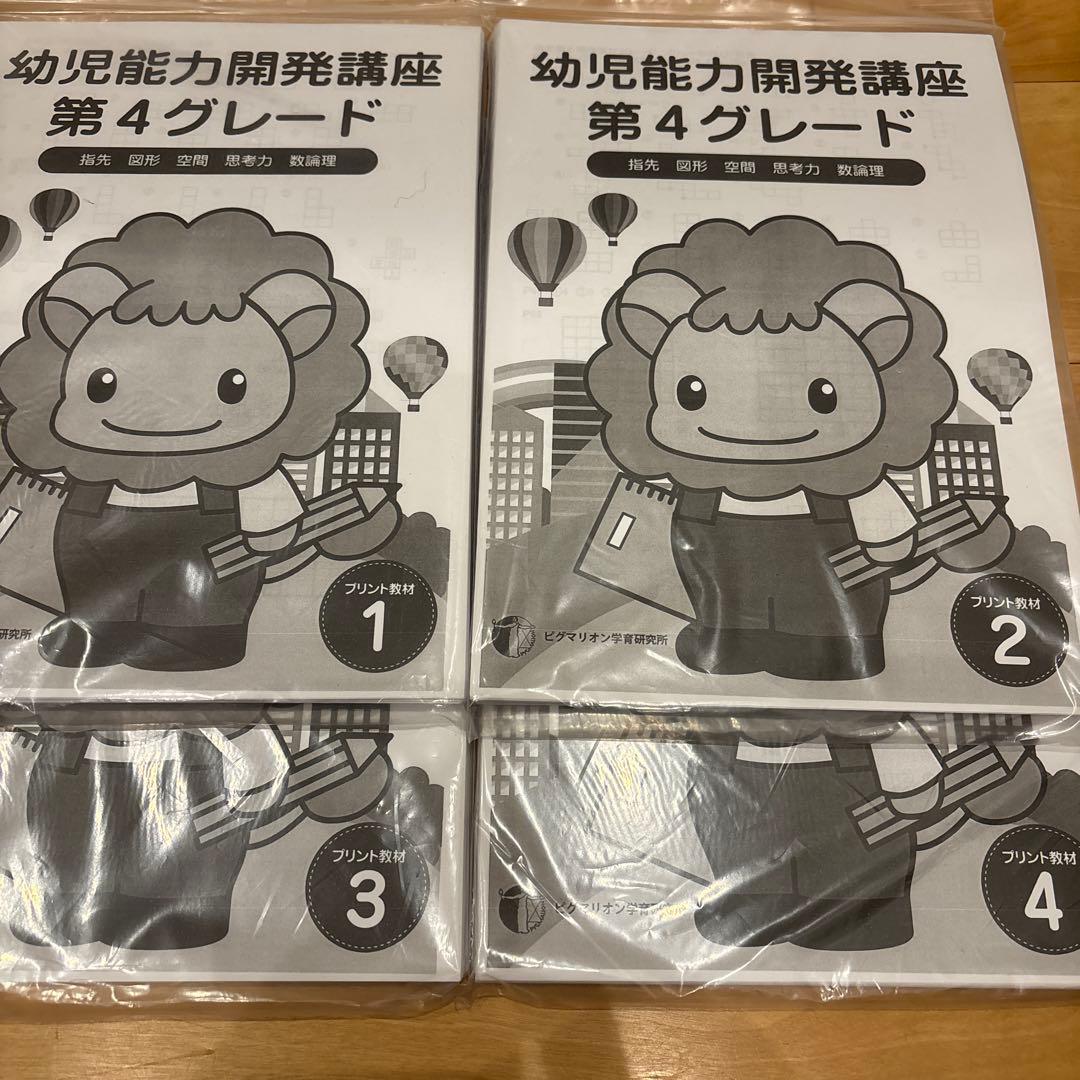 書き込みなし・美品】ピグマリオン 知育教材 豪華セット！第4グレード