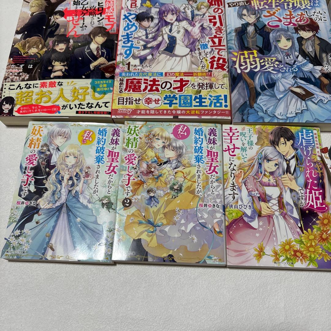 異世界 転生 小説 なろう ラノベ 29冊 まとめ売りセット - メルカリ