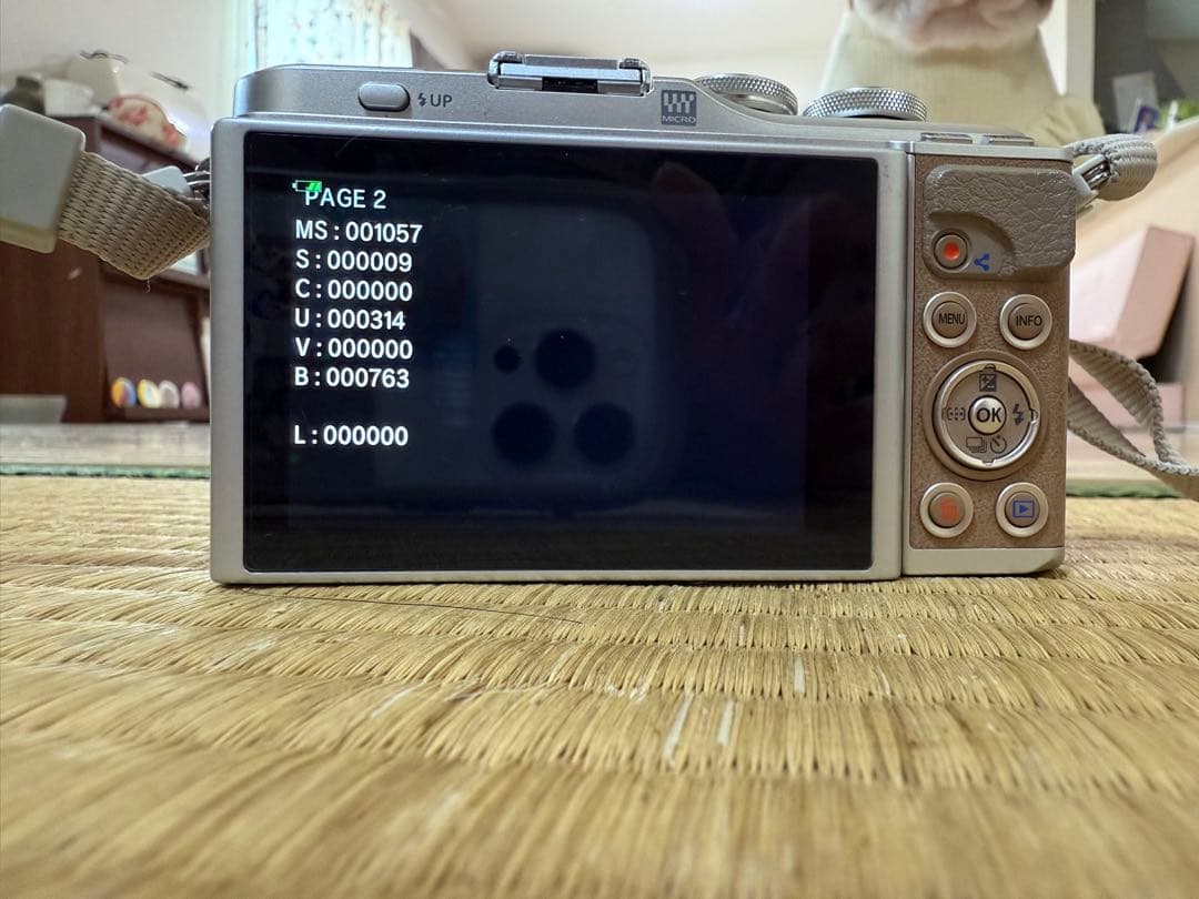 OLYMPUS PEN E-PL9 レンズ2本付き