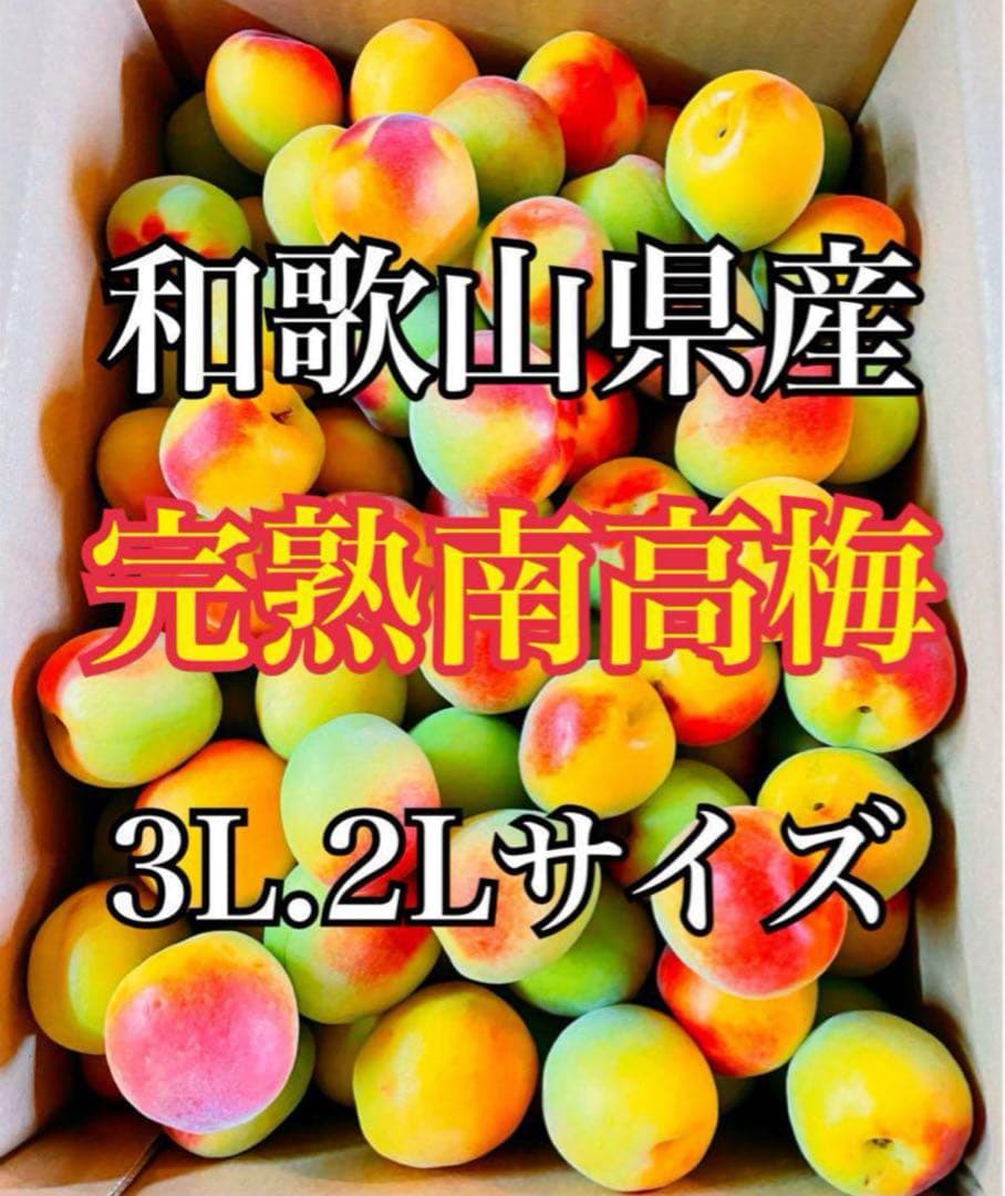 専用出品 みー様 2L-Lサイ 2kg - メルカリ
