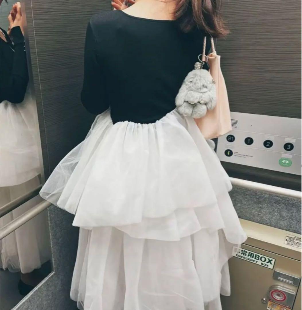 Bibiy. DELPHINE TULLE DRESS - メルカリ