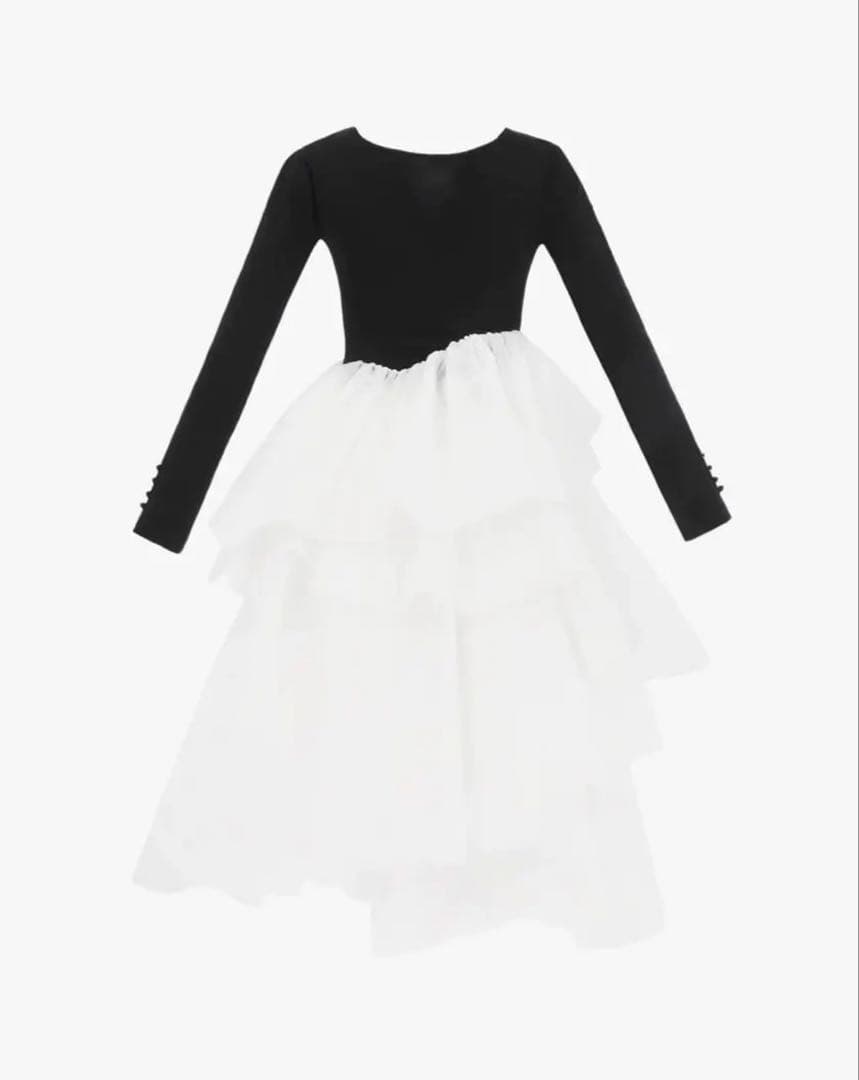 Bibiy. DELPHINE TULLE DRESS - メルカリ