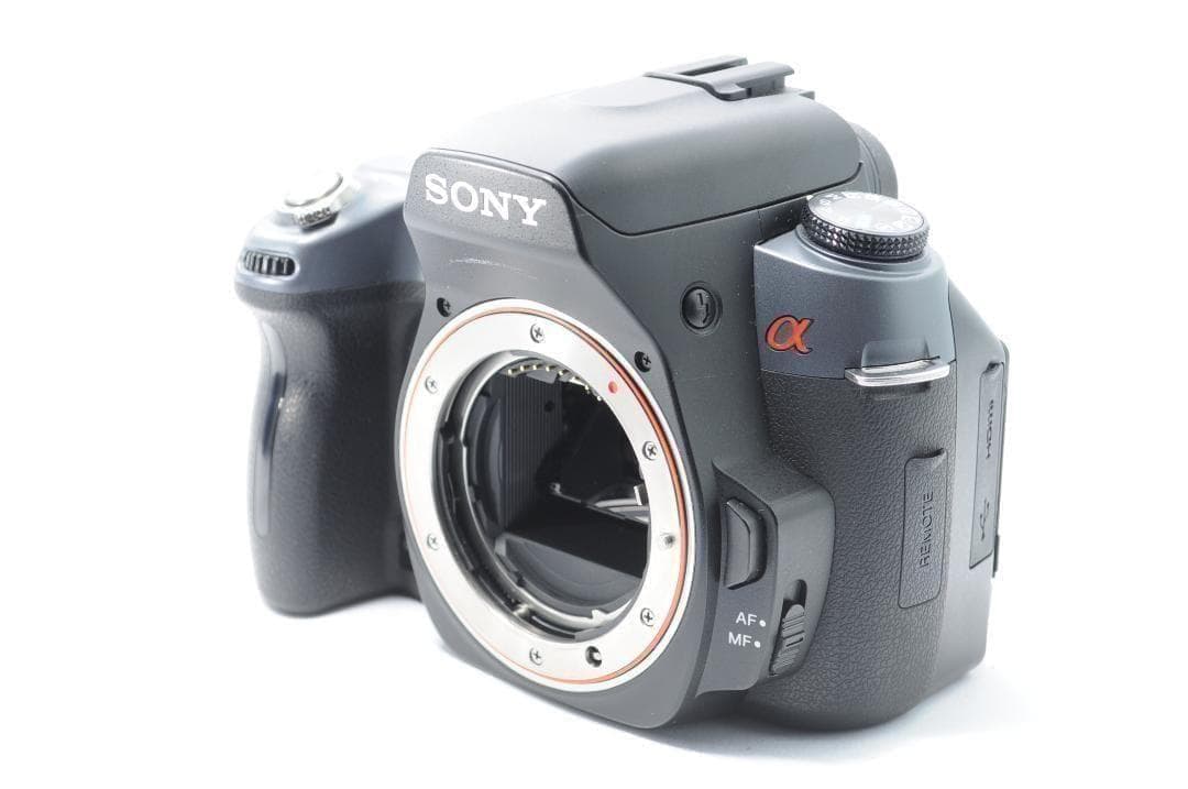 家族旅行を綺麗に残す！❤️SONY α550✨高倍率レンズセット✨️すぐ使える