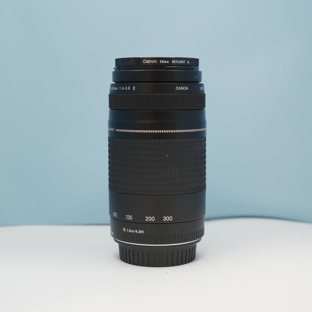 Canon純正 75-300mm 望遠レンズ 美品 a4666