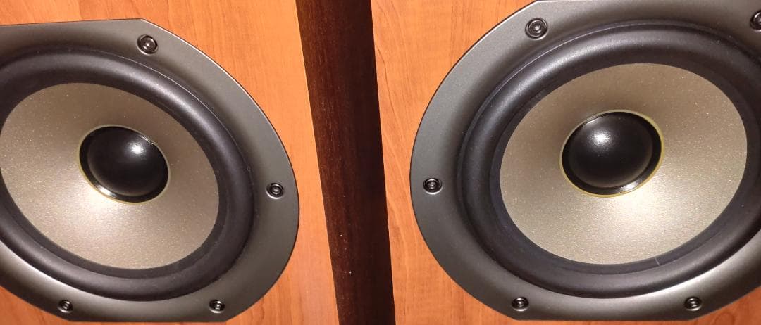 Polk Audio TSi-500 トールボーイスピーカーペア 送料込み　①