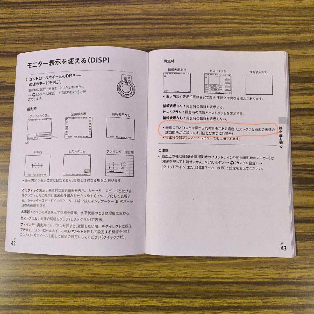 SONY Cyber Shot RX100V（RX100M5）動作良好／難あり