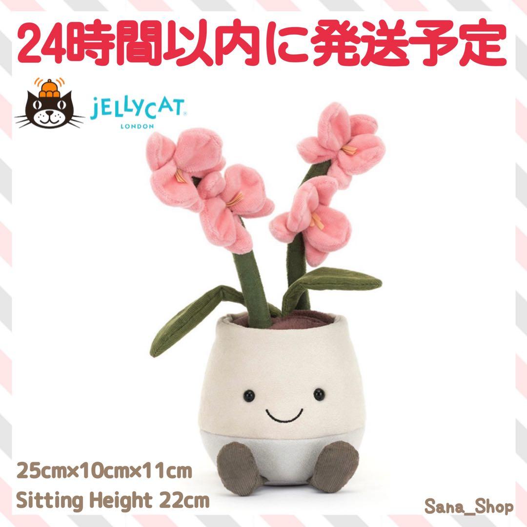 新品　ジェリーキャット　花　蘭　胡蝶蘭　ラン　観葉植物　ぬいぐるみ m57605597741_1.jpg?1755299481