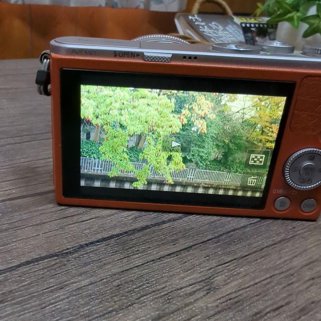 LUMIX　DMC-GM1
