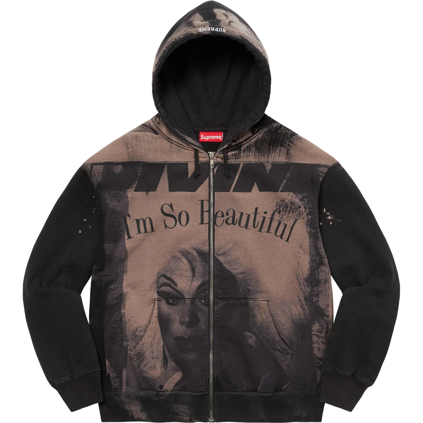 Divine Zip Up Hooded Sweatshirt | Supreme 23ss